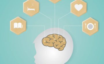Does experience change the actual structure of the brain?