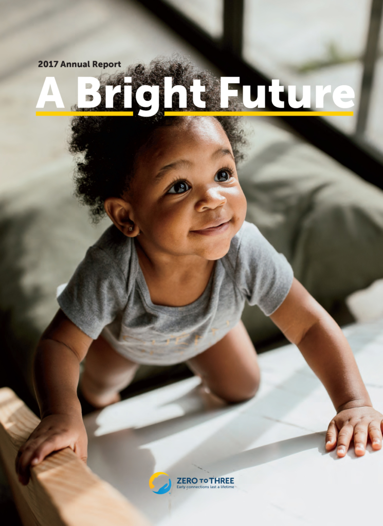 2017 Annual Report A Bright Future Cover
