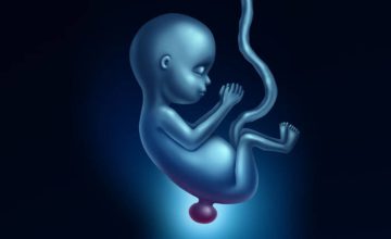 Graphic of developing fetus