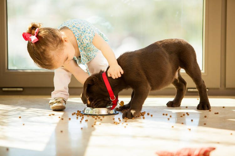 Toddler with puppy