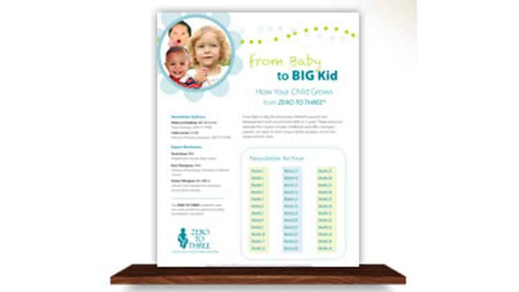 The Big Kid infographic Zero to Three