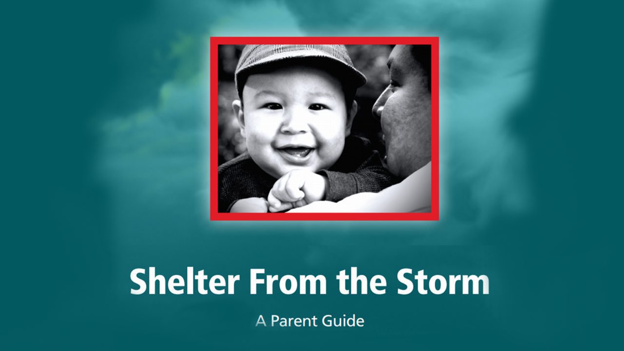 shelter from the storm baby smiling