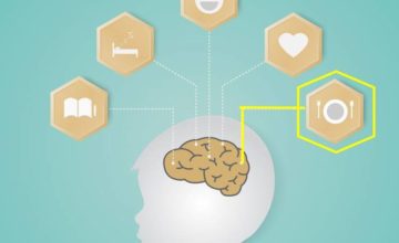 Graphic of nutrition affecting brain