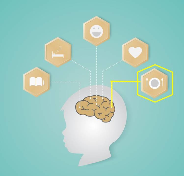 Graphic of nutrition affecting brain