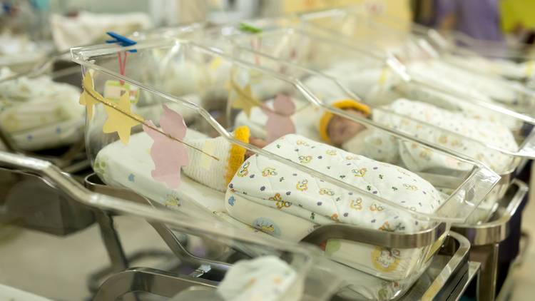 Babies in the hospital nursery