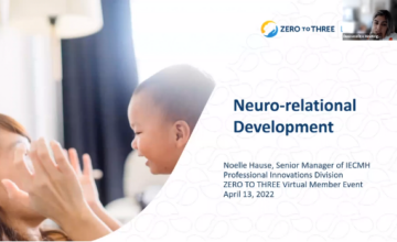 Neuro-relational Development Presentation Screenshot