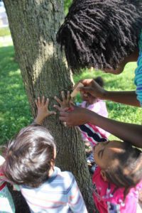 Teacher tracing student's hand on tree