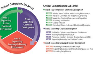 Figure 4. Critical Competencies Areas and Sub-Areas