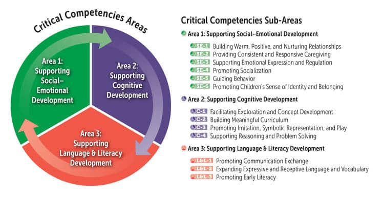 Figure 4. Critical Competencies Areas and Sub-Areas