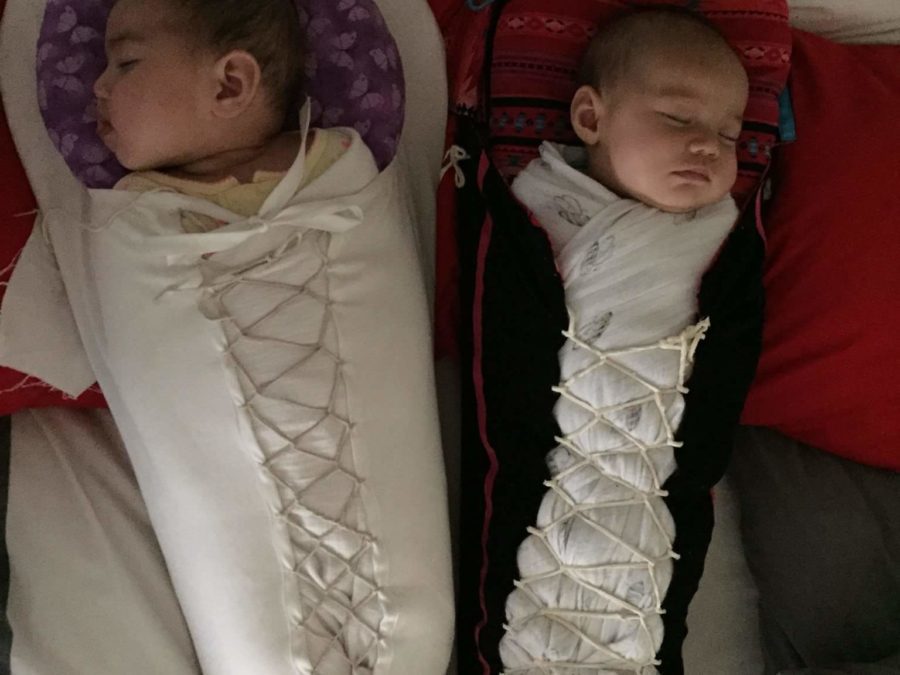 Lessons of the Cradleboard ZERO TO THREE