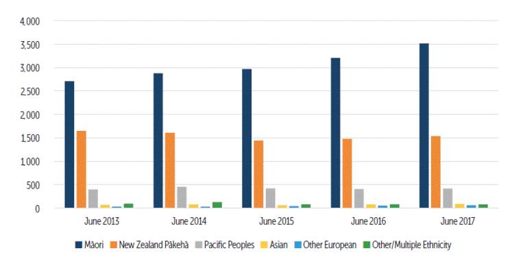  Distinct Children and Young People in the Custody of the Chief Executive by Primary Ethnic Group