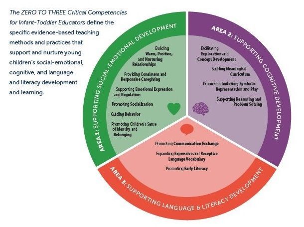 Critical Competencies