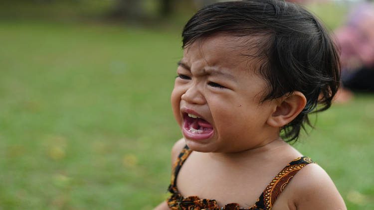 Small child outside on grass crying