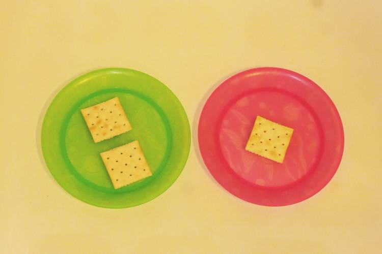 crackers on green and pink plate