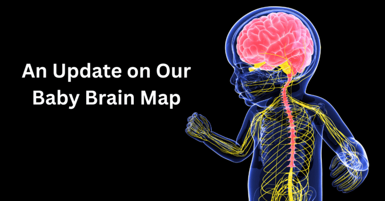 When Does the Fetus's Brain Begin to Work? | ZERO TO THREE