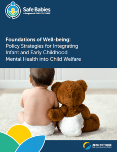 Cover of Safe Babies Brief