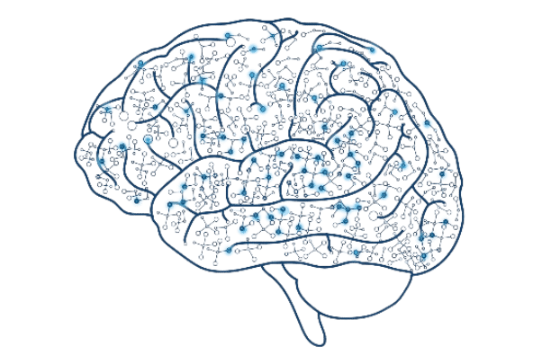 Early Brain Development | ZERO TO THREE