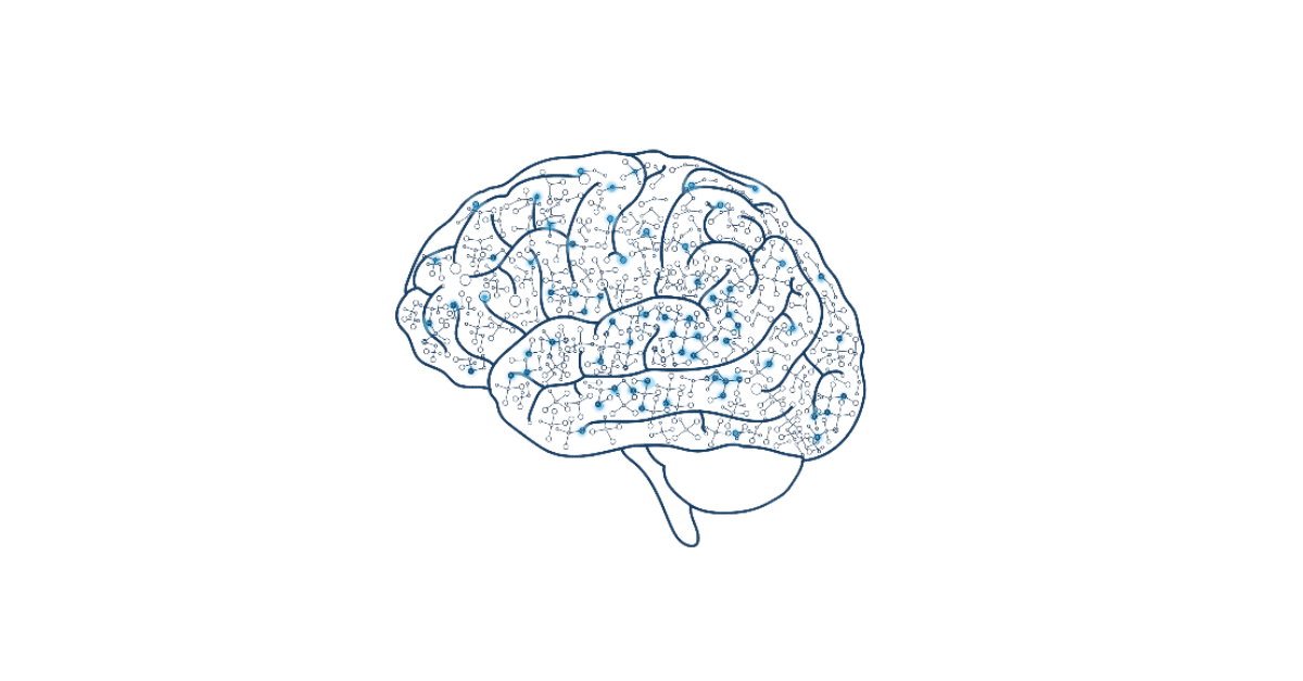 Early Brain Development | ZERO TO THREE