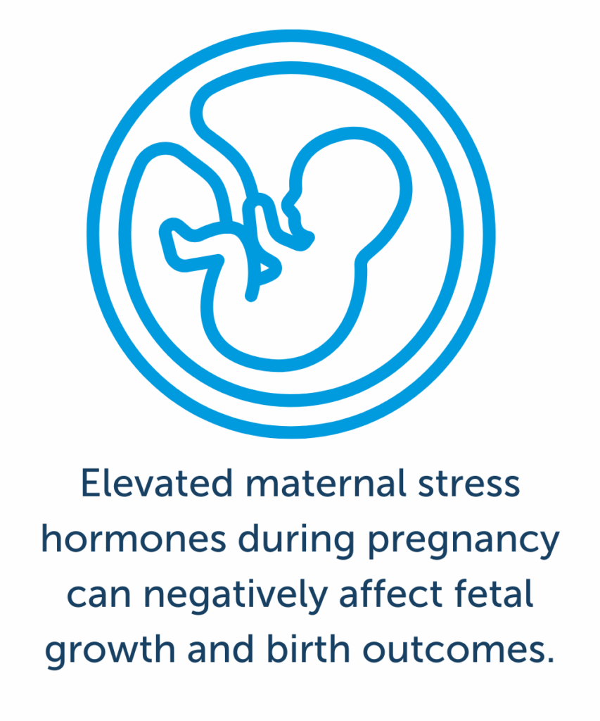 Elevated maternal stress hormones during pregnancy can negatively affect fetal growth and birth outcomes.