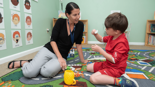 A certified ZERO TO THREE DC:0-5 trainer, Melissa Bradley, M.A., LMHC
Clinical Director of Mental Health Services at The Florida Center for Early Childhood, now offers DC:0-5 training courses for non-clinicians.