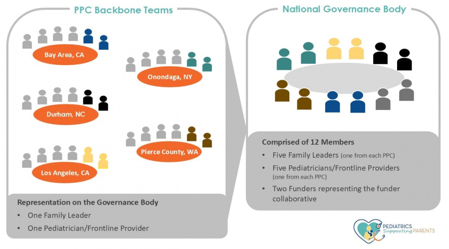 PSP Governance Structure